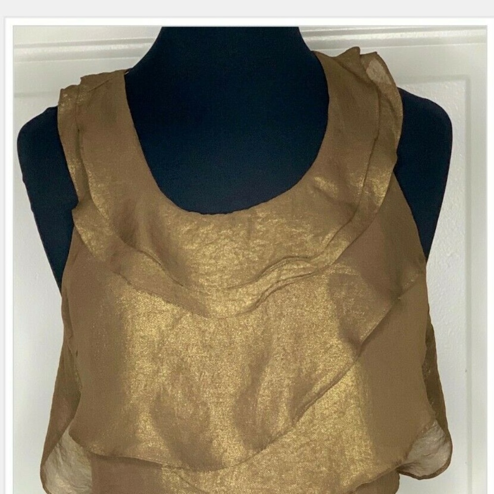 Ark & Co Brown & Gold Ruffle Tiered Shimmer top
